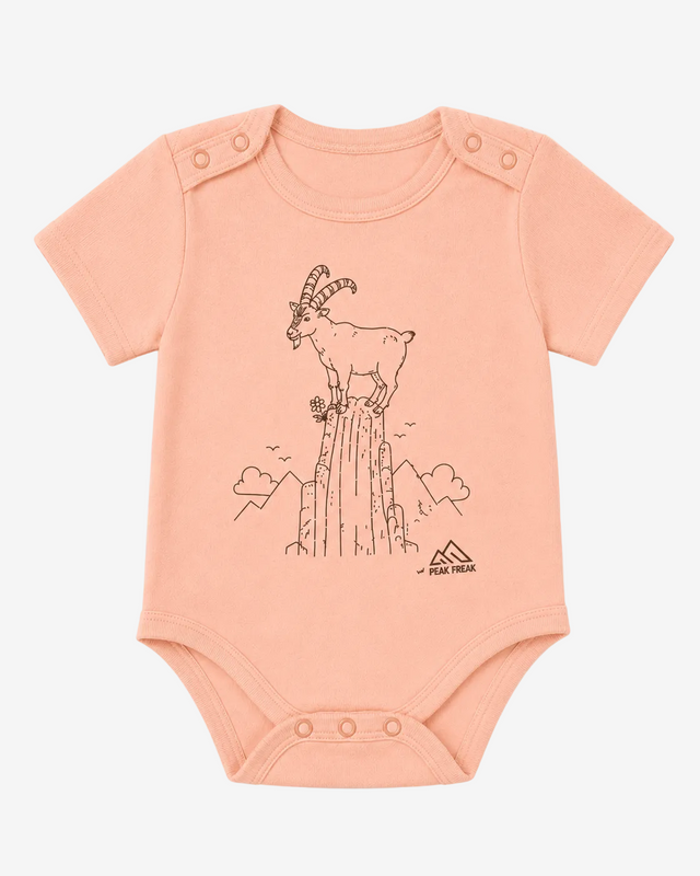 Baby Body - Steinbock