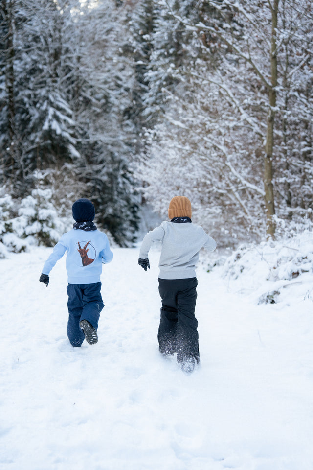 AS x PF Steinbock Junior Sweater
