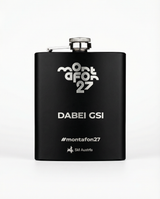 WM27 Flachmann DABEI GSI