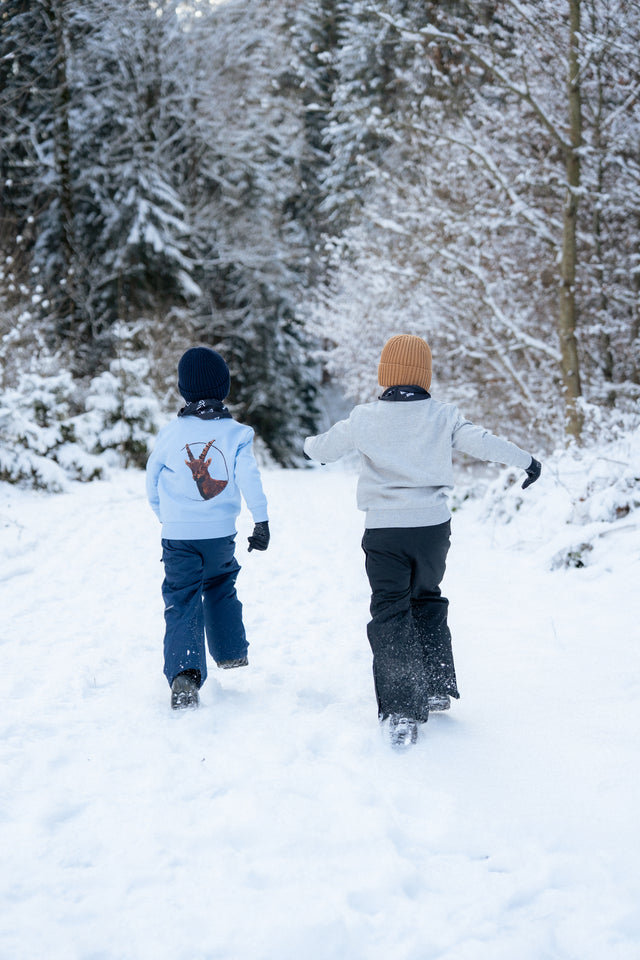 AS x PF Steinbock Junior Sweater